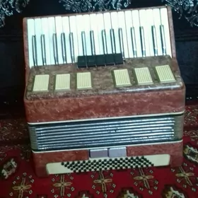 Akkordeon