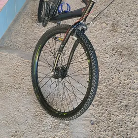tigir welik kama welsopet