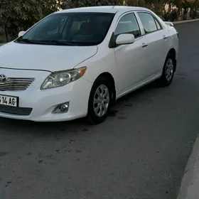 Toyota Corolla 2008