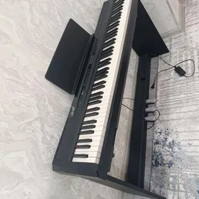 Elektronny piaina