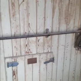 İNKUBATOR  16 000  ÝUMURTGALYK