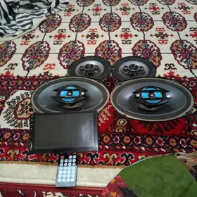 TELEWİZİR