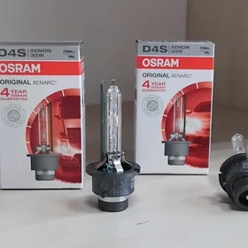 D4S OSRAM LAMPA
