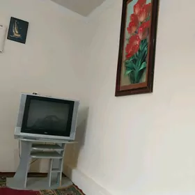 kireýne jaý
