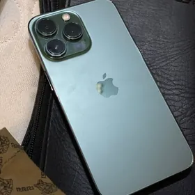 iPhone 13pro
