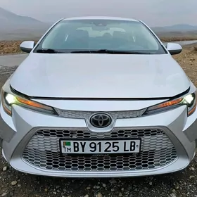 Toyota Corolla 2020