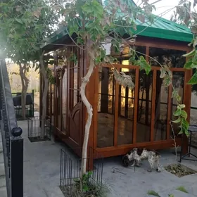 десетга