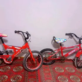 Arassaja tigirler