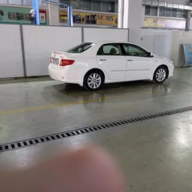 Toyota Corolla 2008