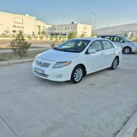 Toyota Corolla 2010