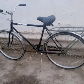 welosepet