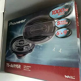 Pioneer