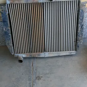 zil radyatr