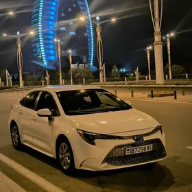 Toyota Corolla 2021