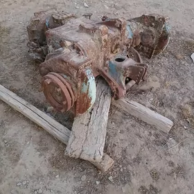 traktor şaýy