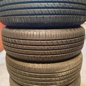 195/65/15 pakrysga