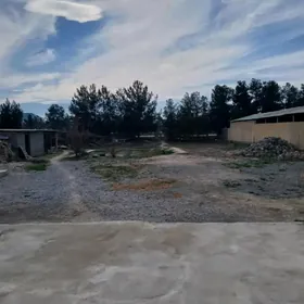 Yasman salyk mellek 16 sotak