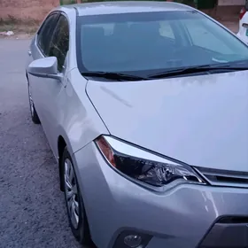 Toyota Corolla 2013
