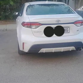 Toyota Corolla 2021