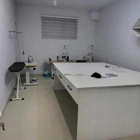 Arenda ýer