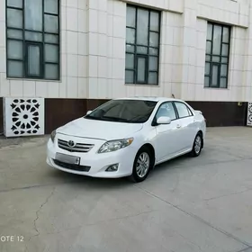 Toyota Corolla 2010