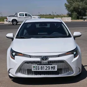 Toyota Corolla 2021