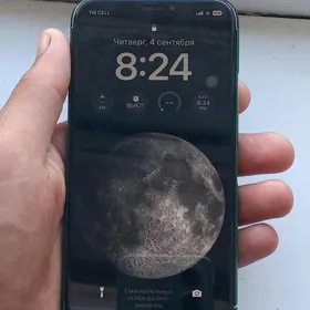 iPhone X