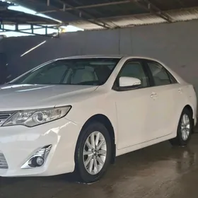 Toyota Camry 2013