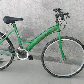 Turkmenistan Tigir
