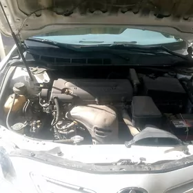 Toyota Camry 2009
