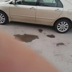 Toyota Corolla 2004