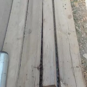strapile agaç