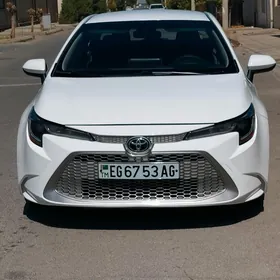 Toyota Corolla 2021