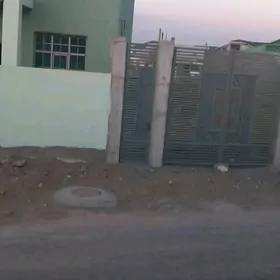 Coganly 3 sokot