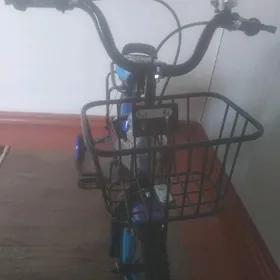 çaga tigir