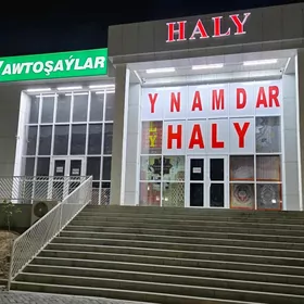 YNAMDAR HALY