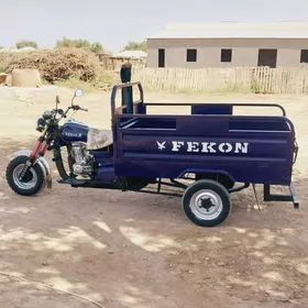 Fekon FK200-14G 2015