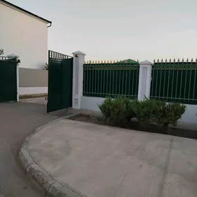 Taze Zaman
