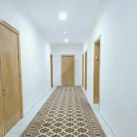 arenda elitka talyp gyzlara