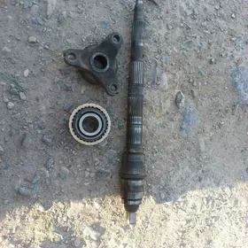 wtarysny 5in inzektir