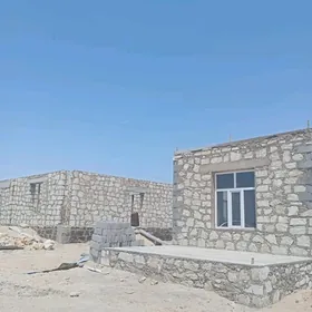 Guwlymayak jay