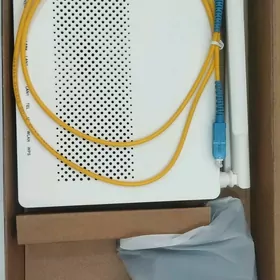 gpon wifi router