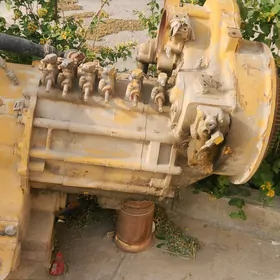 cat karopka 962