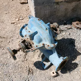 elektro mator suw nasos