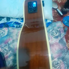 Elektro gitara