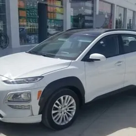 Hyundai Kona 2019