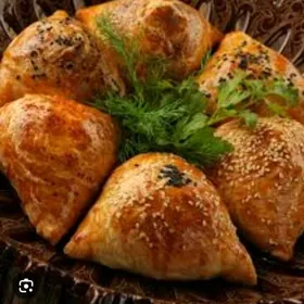 Samsa sloyka