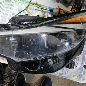 Elantra 21 Fara cep