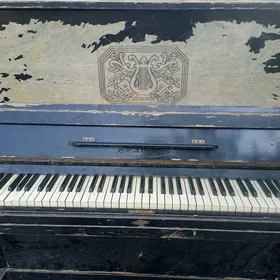 pianona