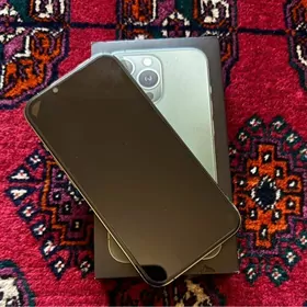iPhone 13 pro